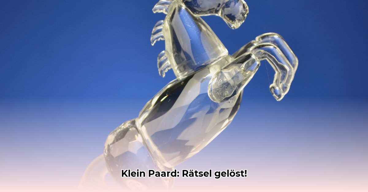 klein-paard-3-letters